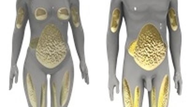 Exceso de grasa abdominal en mujeres